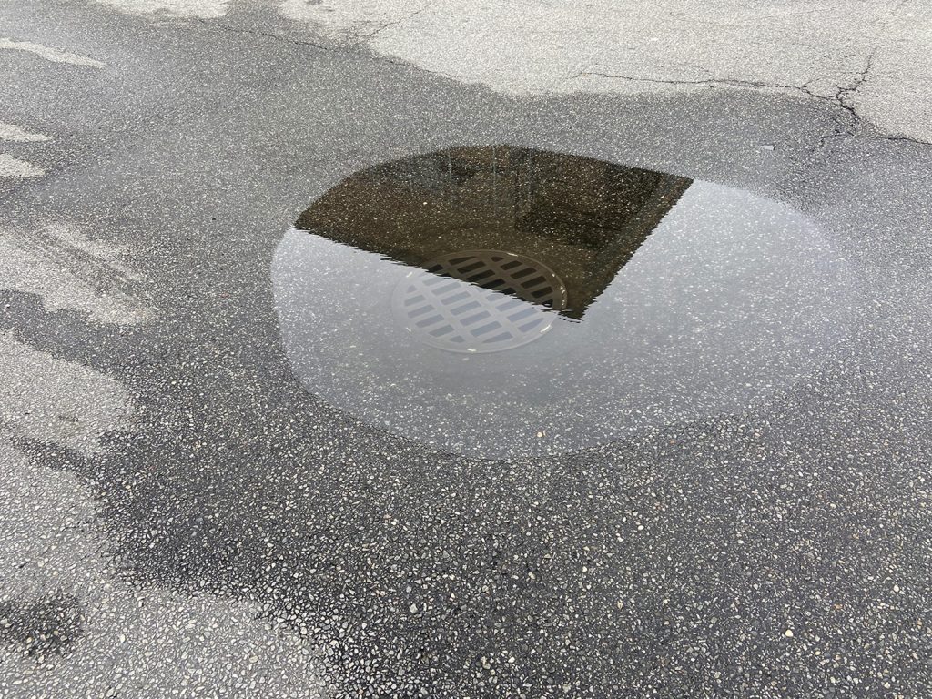 A clogged yard drain in a paved area.