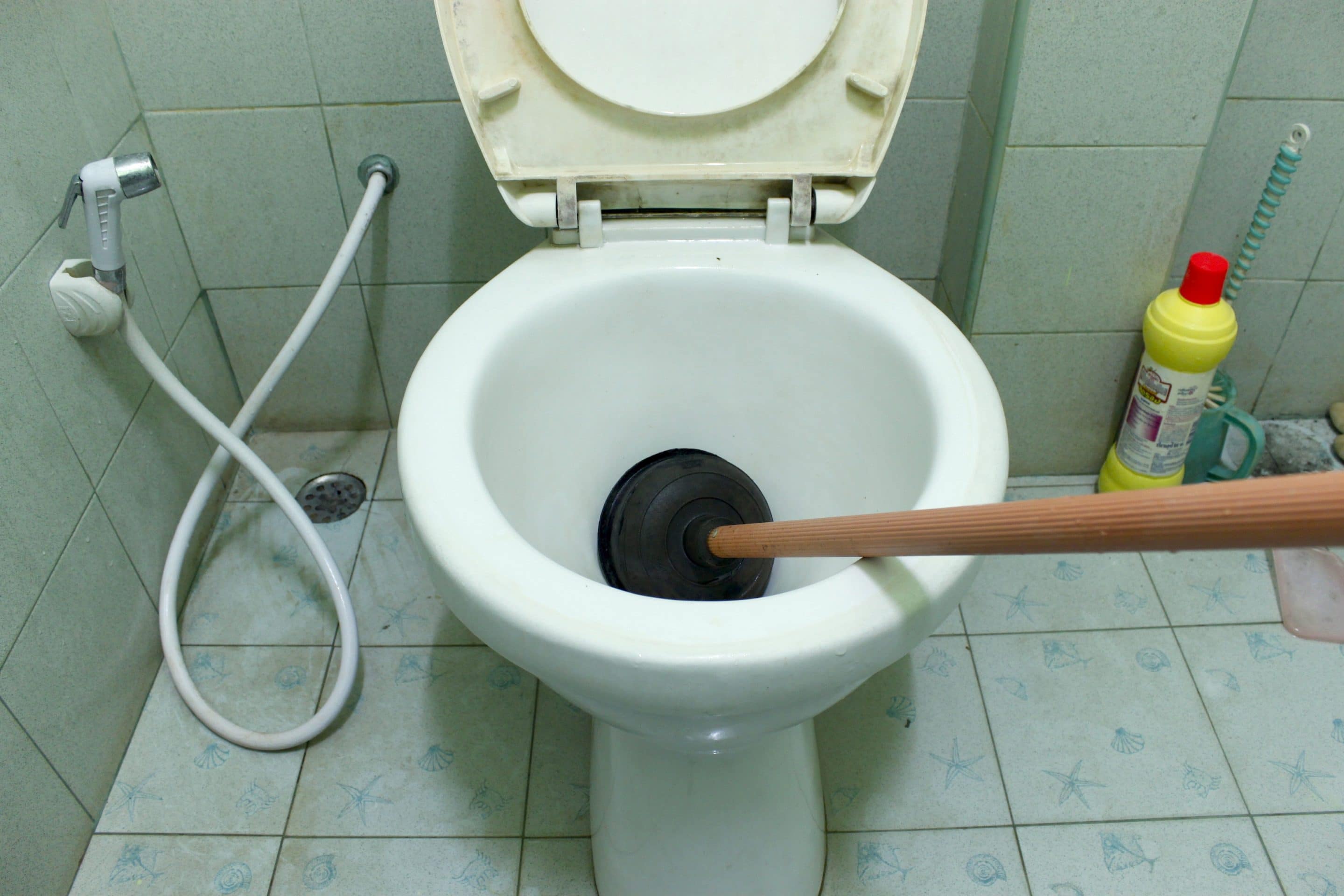 Clogged Toilet Causes, Solutions, And Advice - Balkan Drain Cleaning