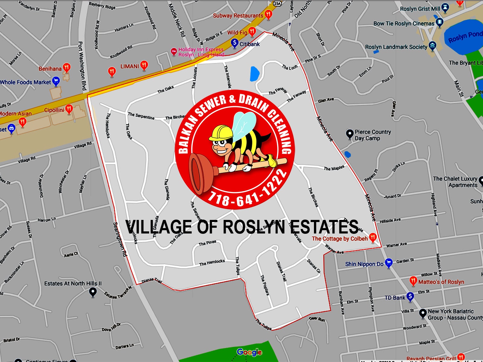 sewer cleaning Roslyn Estates