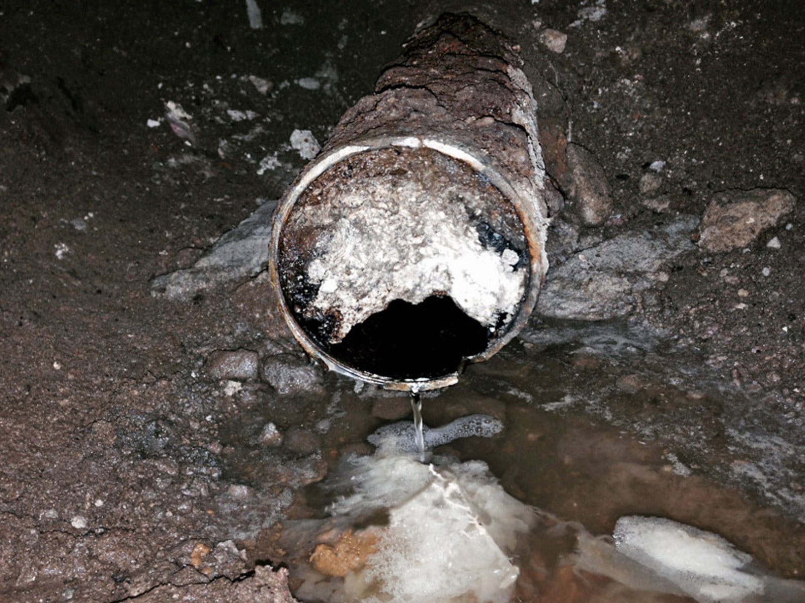 Grease inside a drain pipe.
