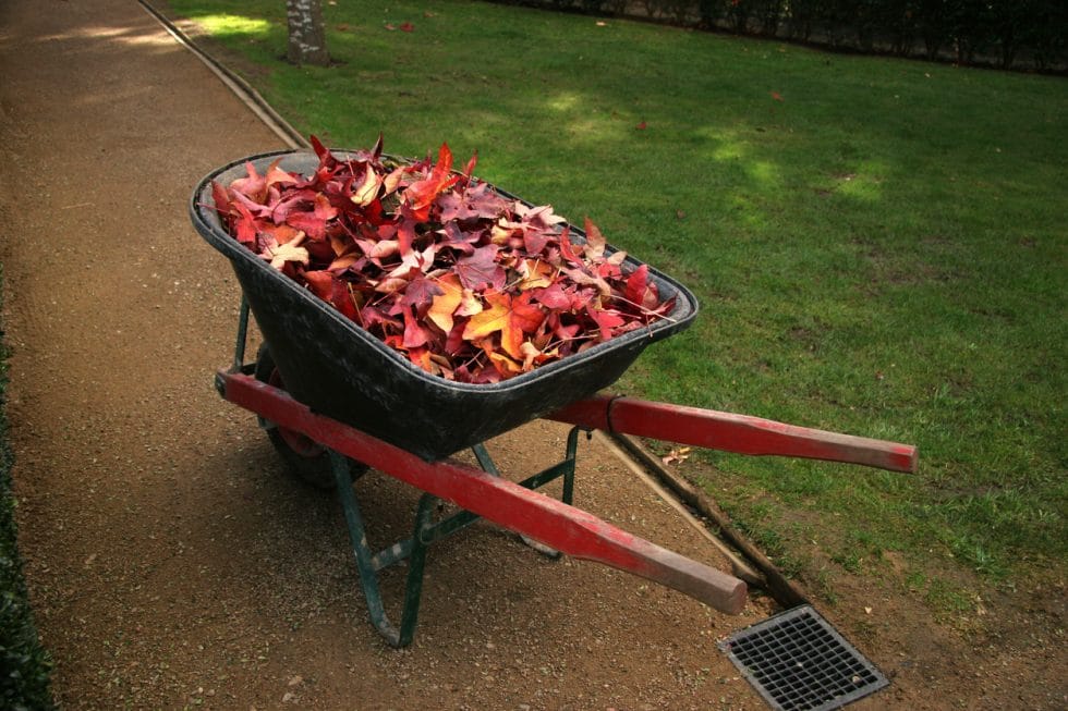 Unclog Yard Drains Before They Cause Flooding And Damage