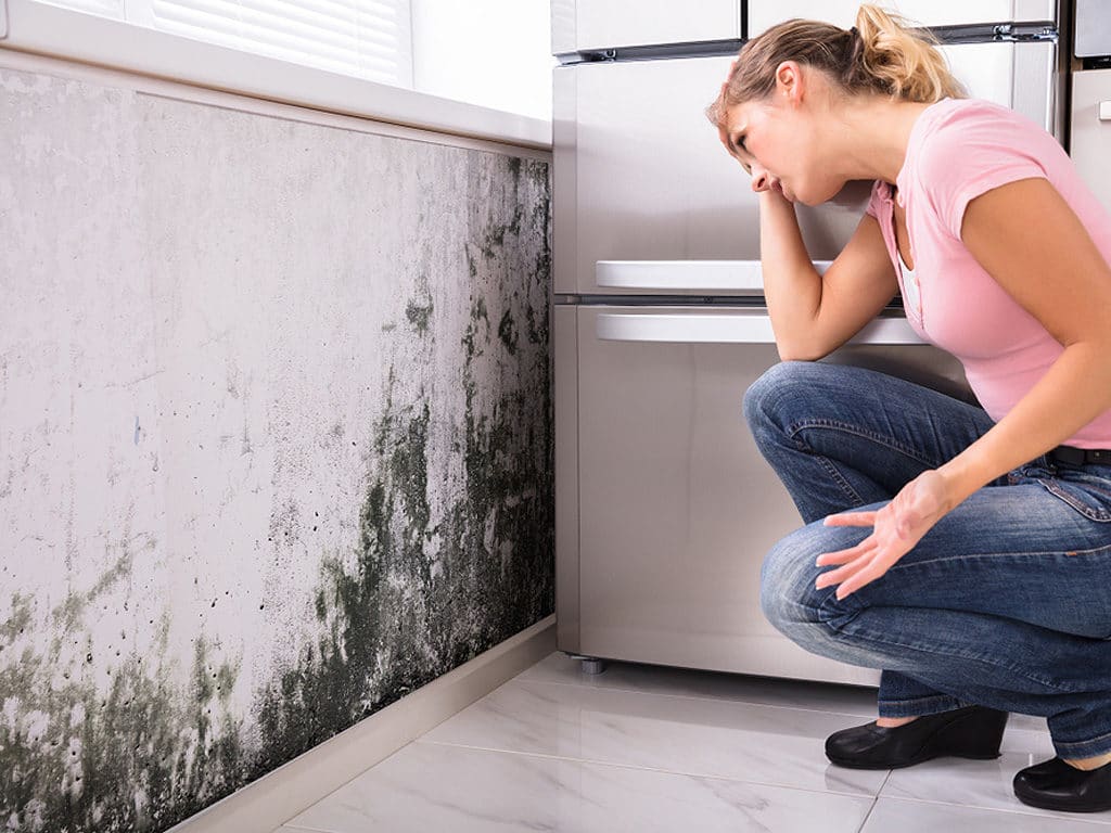 Prevent Mold After A Flood