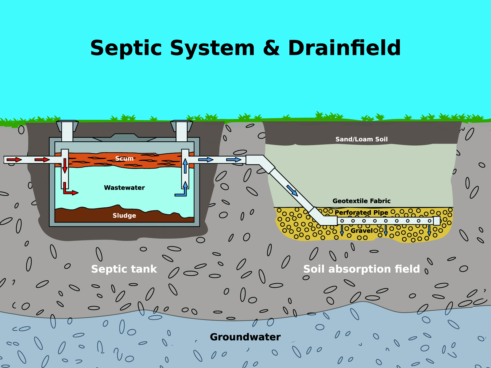 Septic Tank And Drain Field Layout Diagram 4595